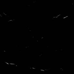 Low Places : Black Tape